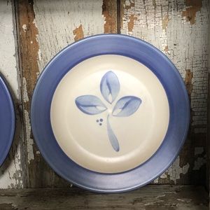 Set of 4 Pfaltzgraff Villa Flor salad plates